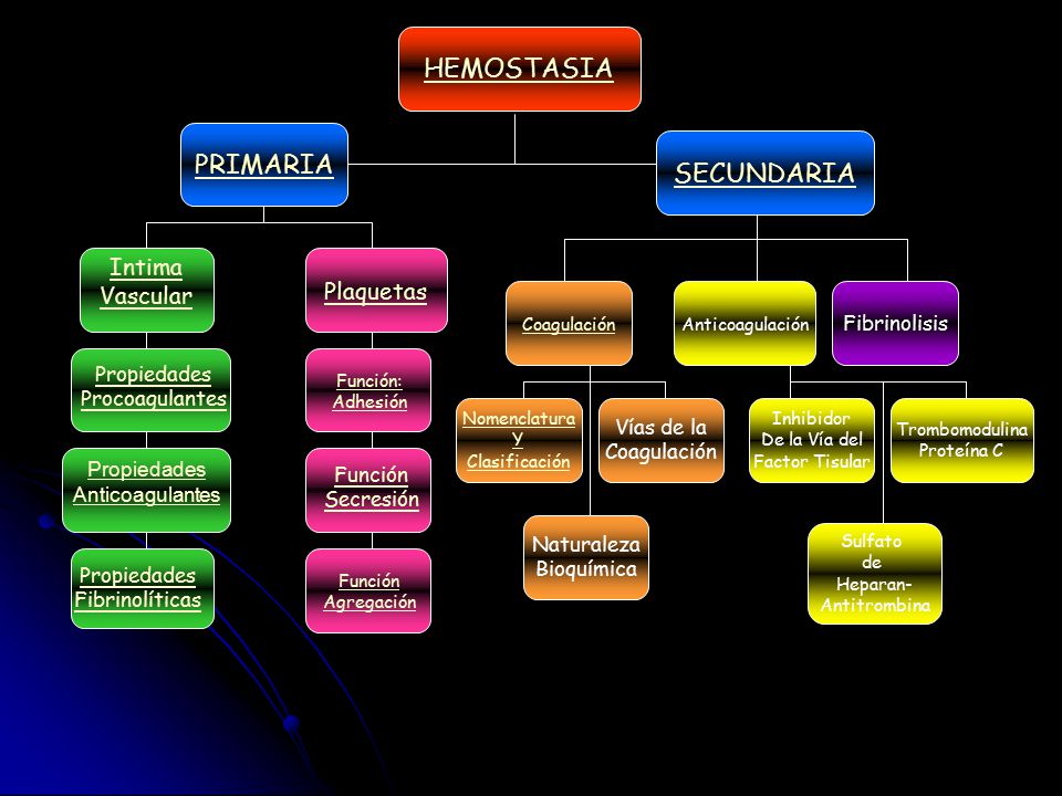 hemostasia primaria y secundaria
